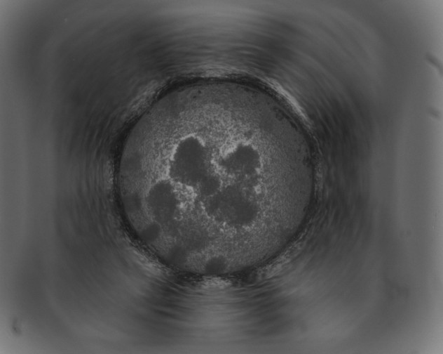 X0000091510257200709071000