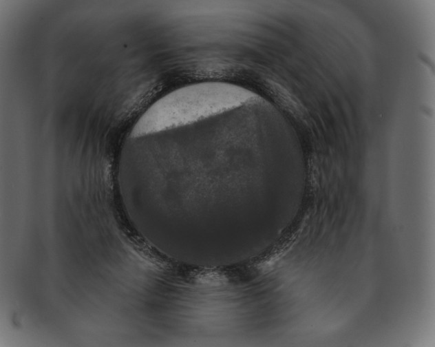 X0000091510258200709071000