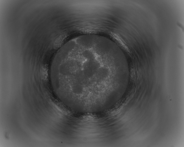 X0000091510259200709071000