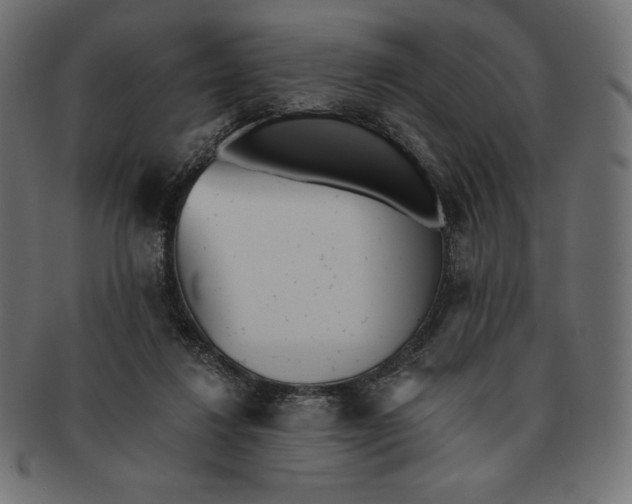 X0000091510260200709071000