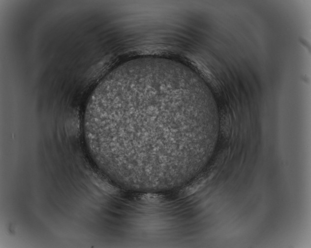 X0000091510261200709071000