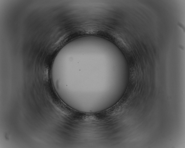 X0000091510262200709071000