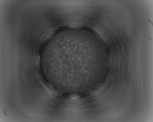 X0000091510263200709071000