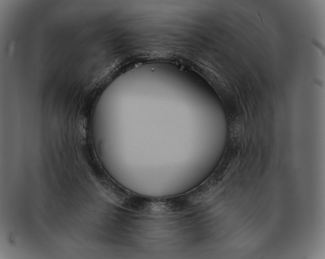 X0000091510264200709071000