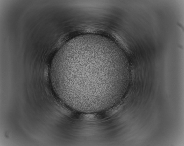 X0000091510265200709071000