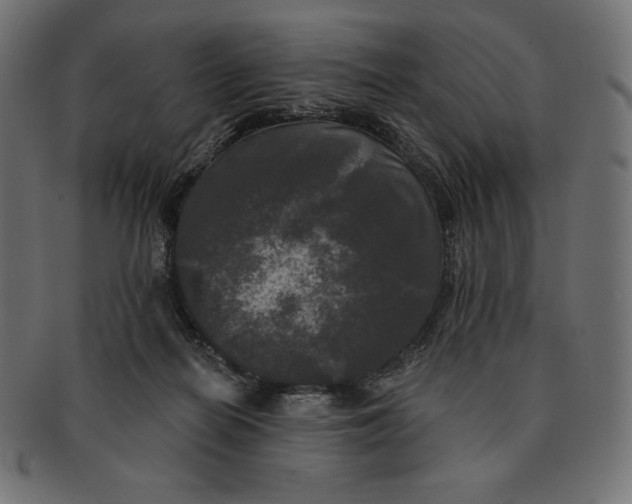 X0000091510266200709071001