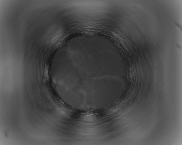 X0000091510267200709071001