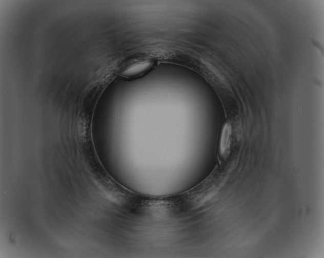 X0000091510268200709071001