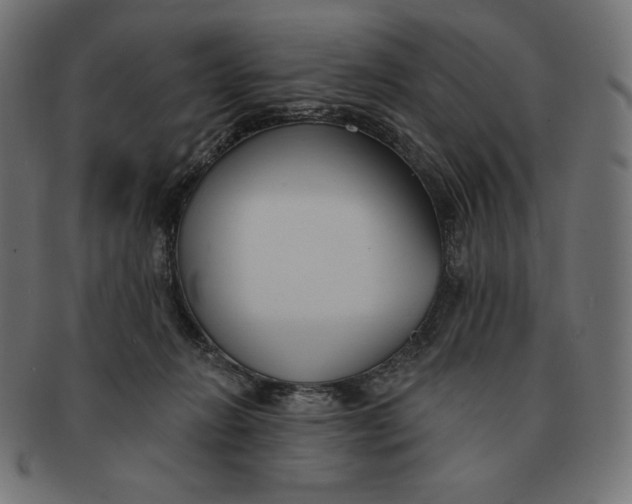 X0000091510270200709071001