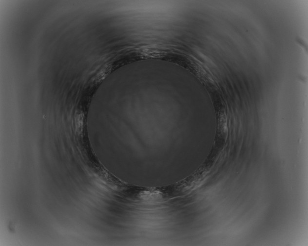 X0000091510271200709071001