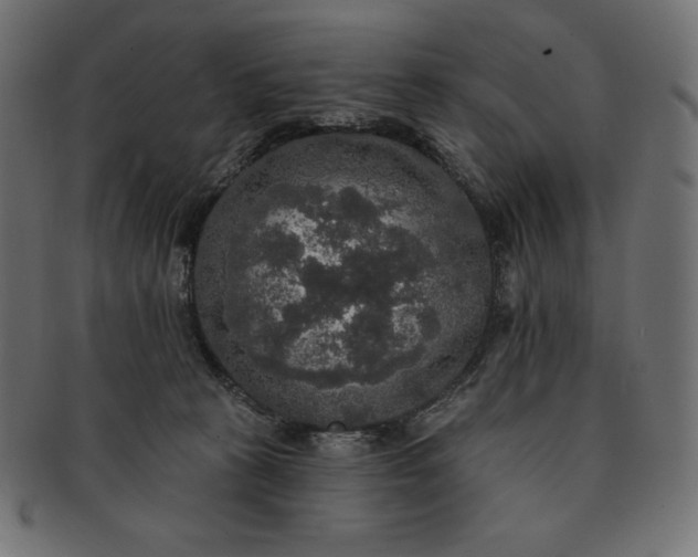 X0000091510273200709071001