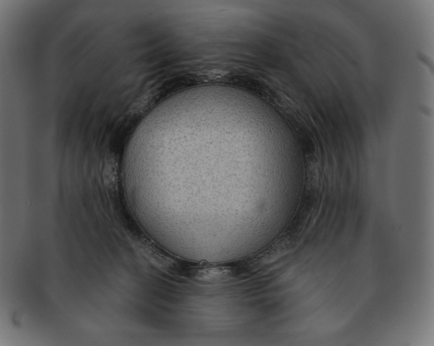 X0000091510274200709071001