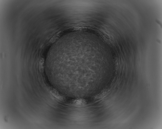 X0000091510275200709071001