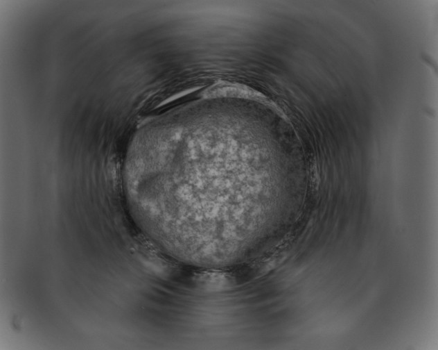 X0000091510276200709071001