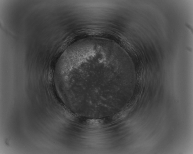 X0000091510277200709071001