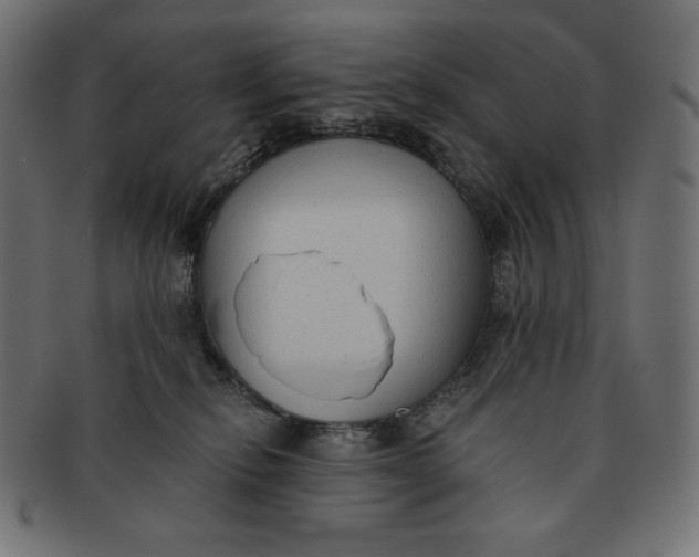 X0000091510278200709071001