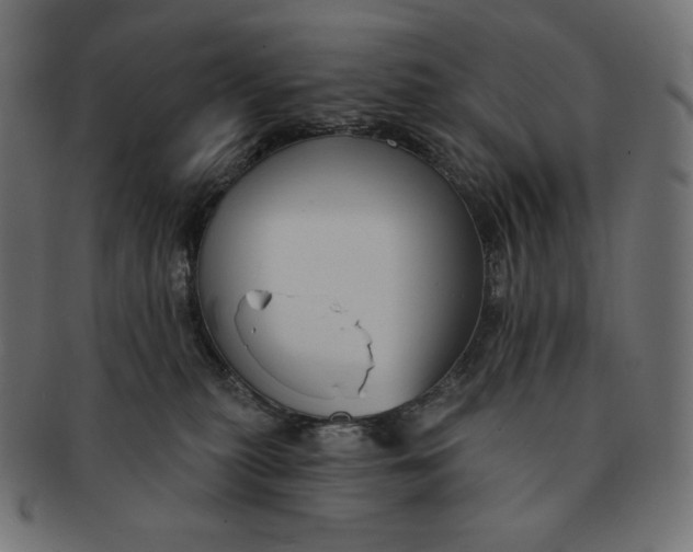 X0000091510279200709071001