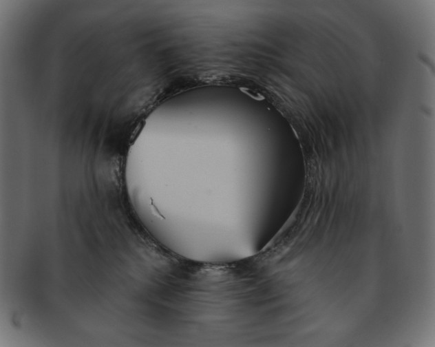 X0000091510280200709071001