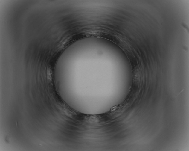 X0000091510282200709071001