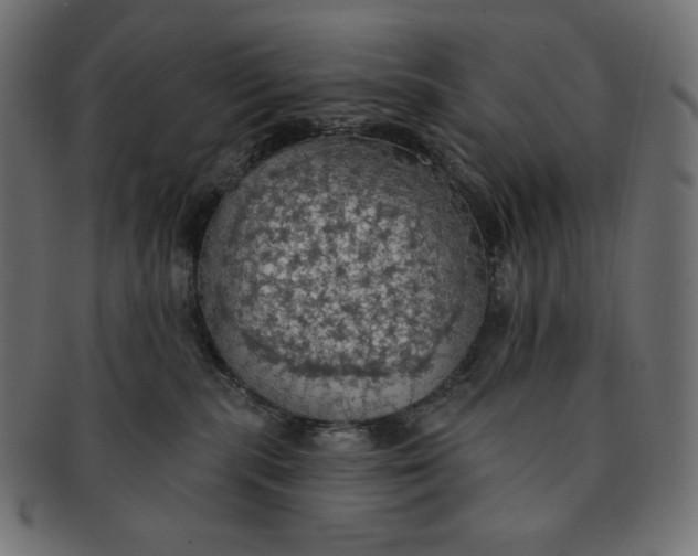 X0000091510283200709071001