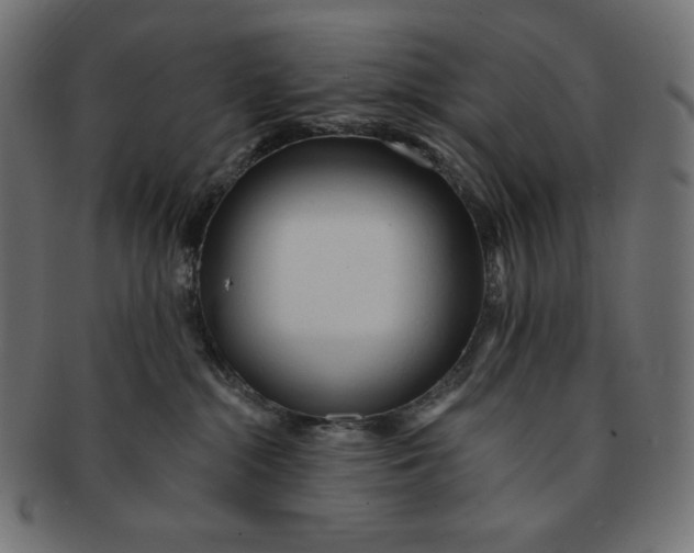 X0000091510284200709071001