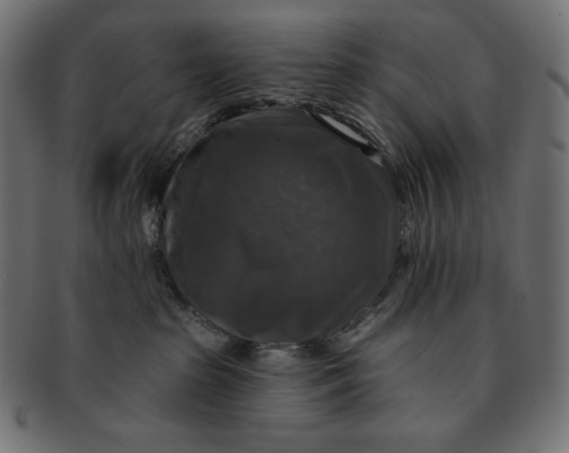 X0000091510285200709071001