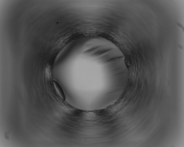 X0000091510287200709071001