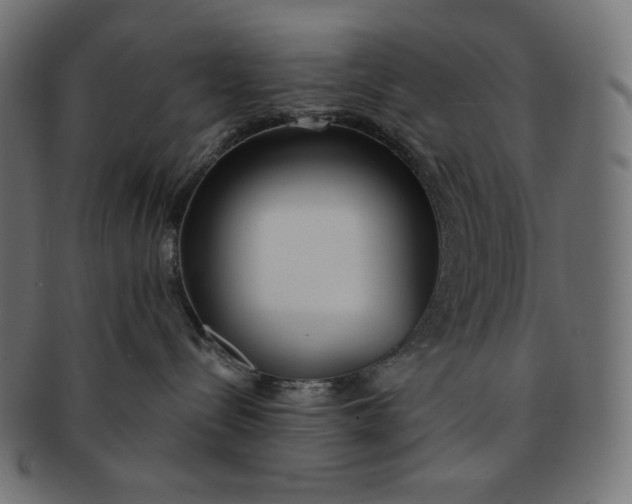 X0000091510288200709071001