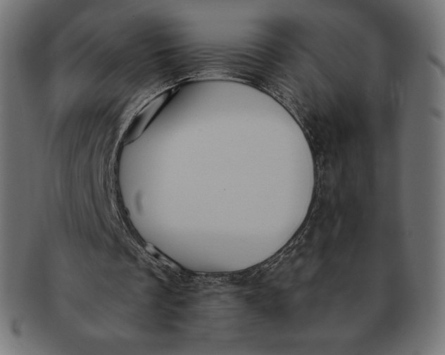 X0000091510289200709071000