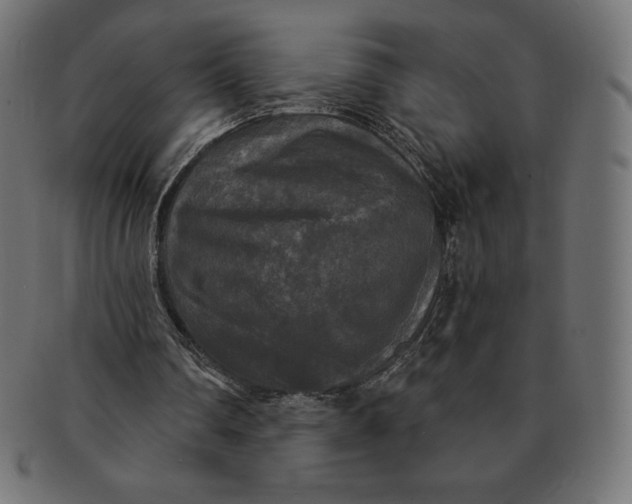 X0000091510290200709071000