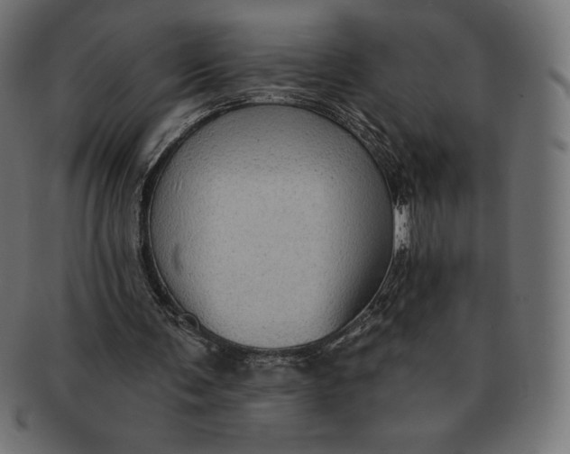 X0000091510291200709071000