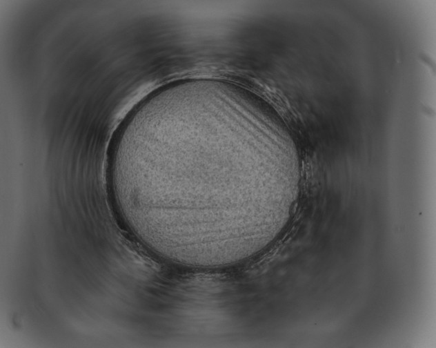 X0000091510292200709071000