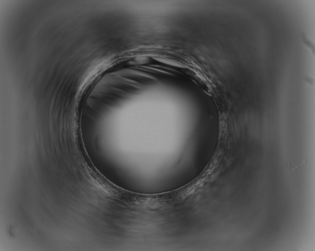 X0000091510293200709071000