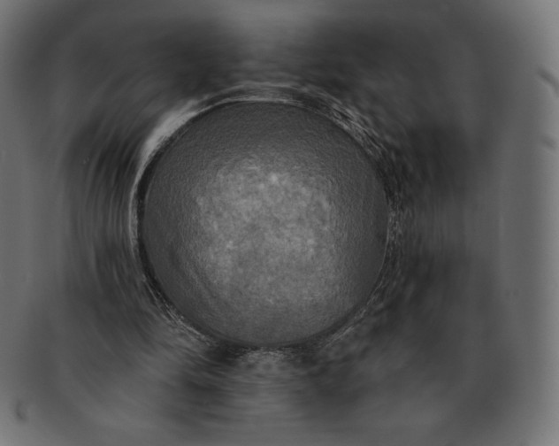 X0000091510294200709071000