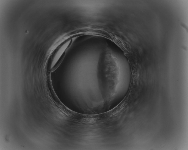 X0000091510295200709071000