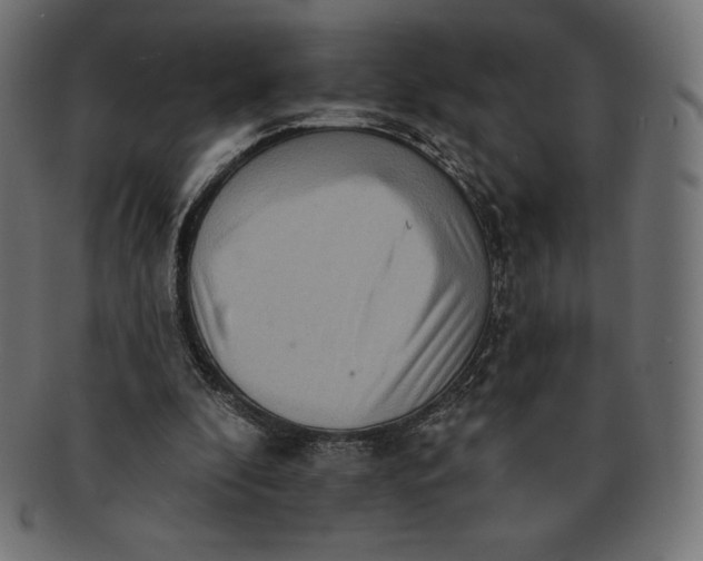 X0000091510296200709071000