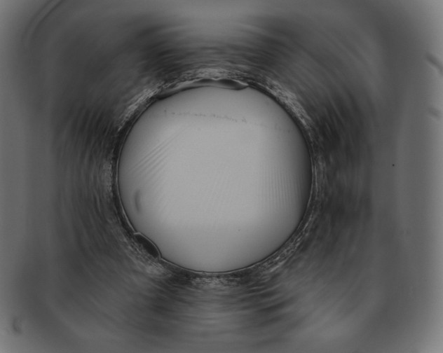 X0000091510297200709071000