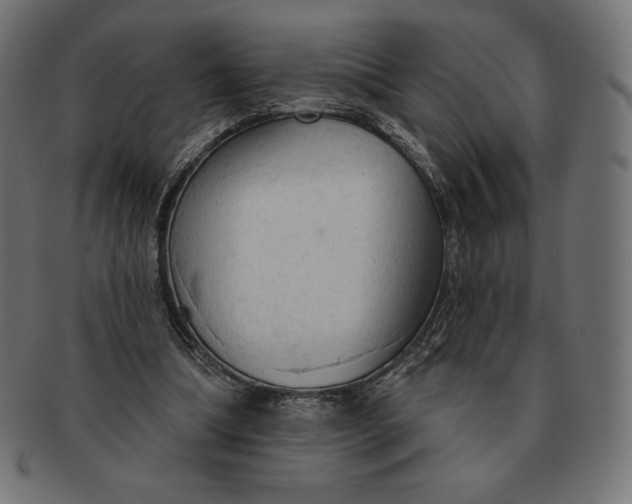 X0000091510298200709071000