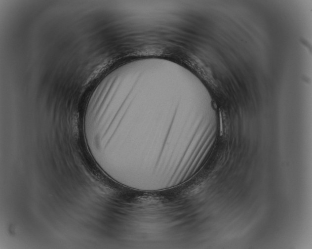 X0000091510300200709071000