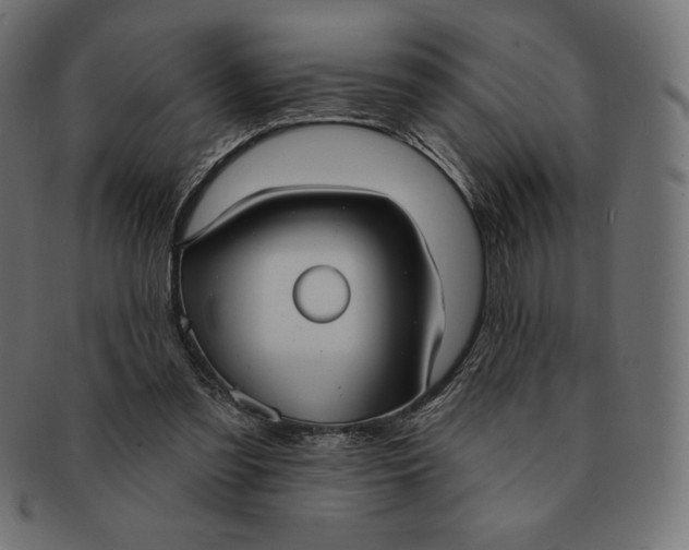 X0000091510301200709071000