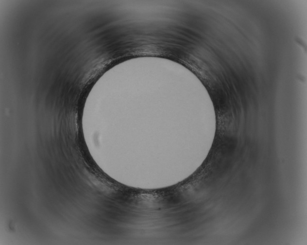 X0000091510302200709071000