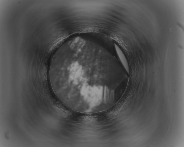 X0000091510303200709071000