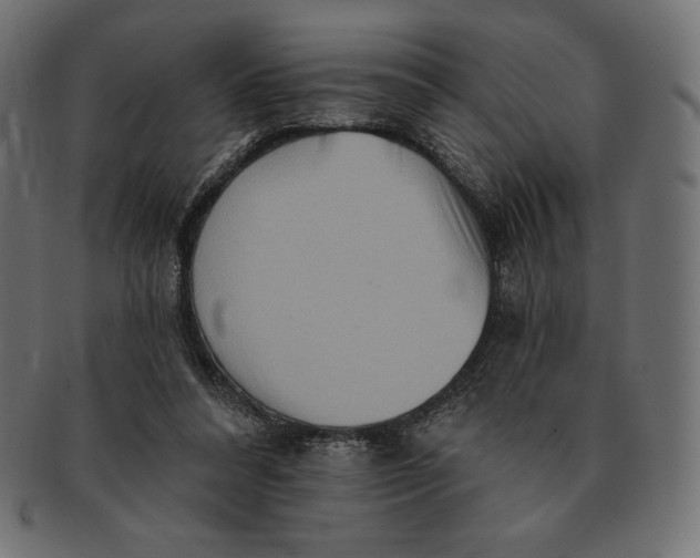 X0000091510304200709071000