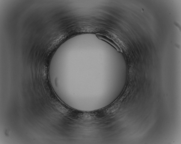 X0000091510305200709071000