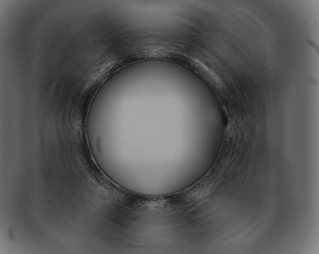 X0000091510306200709071000