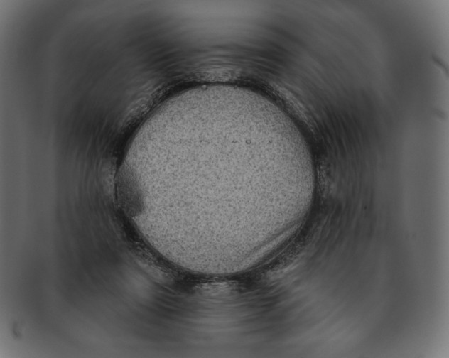 X0000091510307200709071000