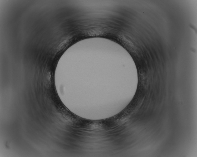 X0000091510308200709071000