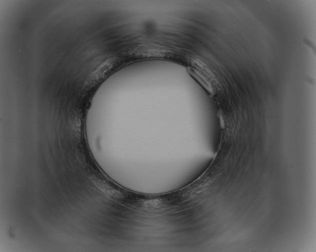 X0000091510309200709071000