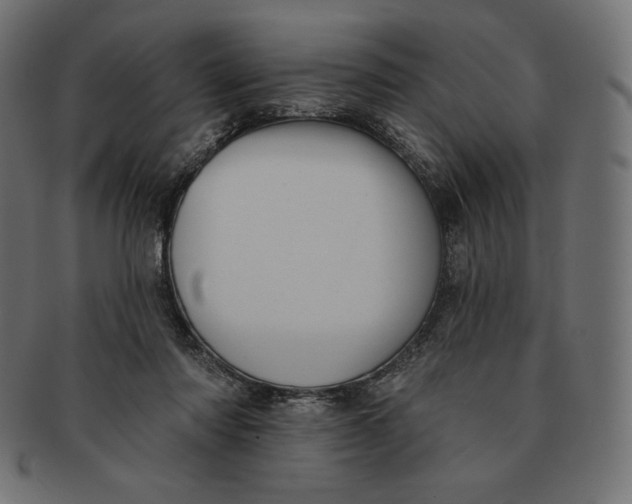 X0000091510310200709071000