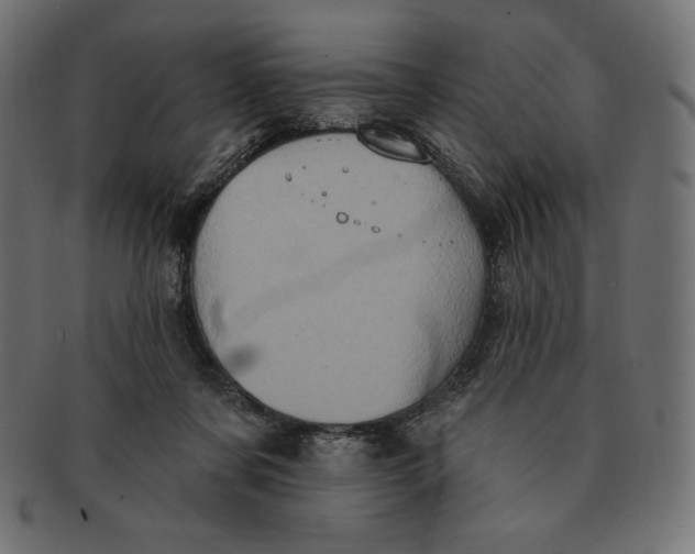 X0000091510311200709071000